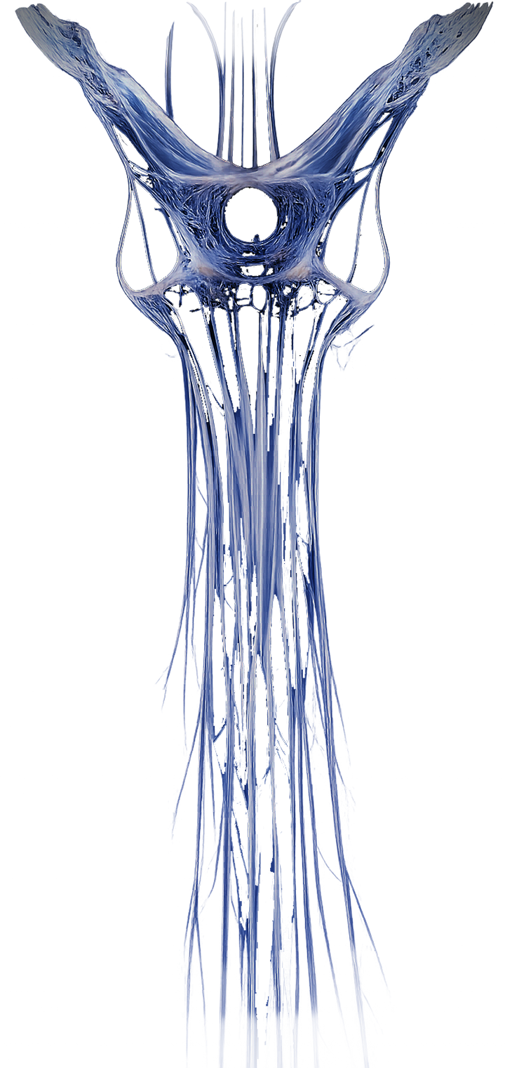 a symbol of humanity and evolution